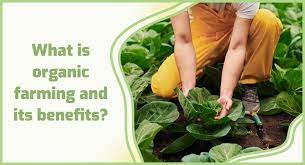 ORGANIC-जैविक खेती क्या है और इसके फायदे